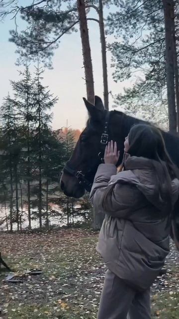 Моя осенняя эстетика #осень #эстетика #autumn #aesthetic смотреть онлайн