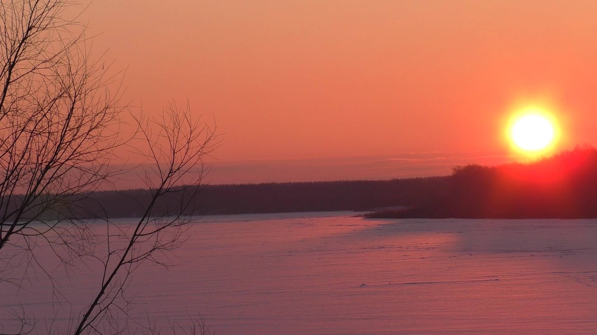 РЫБАЛКА! ДЕЛА ВЕСЕННИЕ ОГОРОДНЫЕ! Уехал на лыжах и НАШЁЛ ГРИБЫ! смотреть онлайн