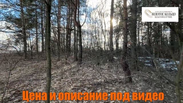 Продается земельный участок 16 соток в прекраснейшем месте в деревне Легково, Александровский район смотреть онлайн