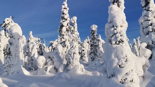 Подъем на гору в санях смотреть онлайн