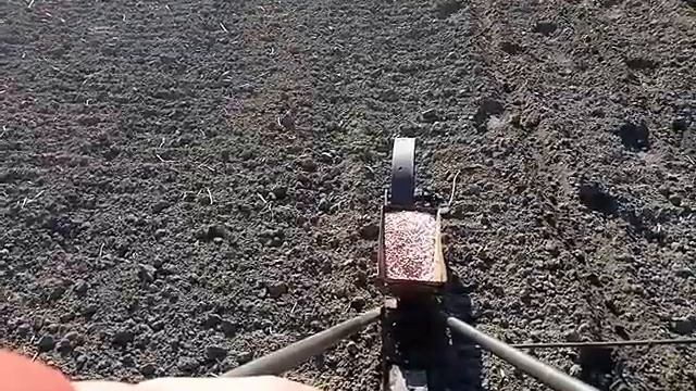 28/04/21,сію моркву, столові буряки і всяку всячину