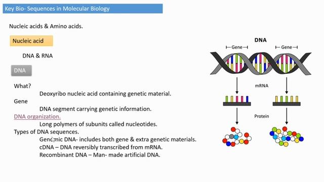 Bioinformatics Part 1. By Dr. Rani.S.Dharan (HOD, Department of Zoology, S.G College Kottarakara) смотреть онлайн