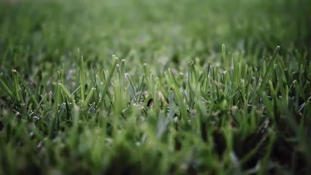 Gardena Smart System - Sose hagyd magára a kerted! смотреть онлайн
