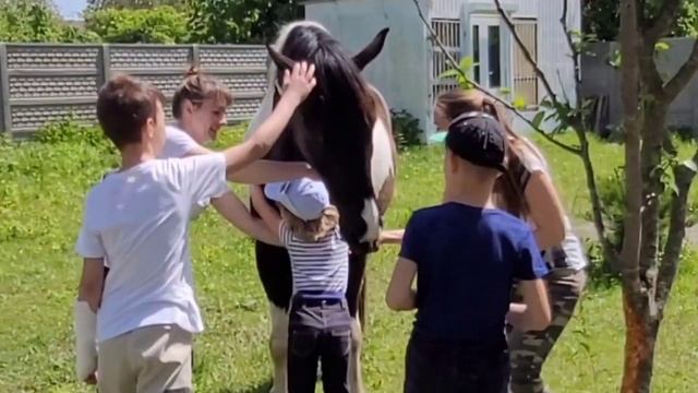Дети и лошади смотреть онлайн