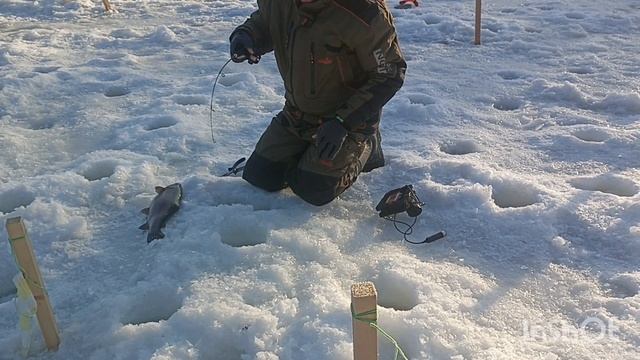 Мороз не помеха смотреть онлайн