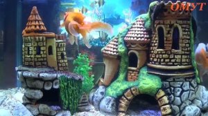 149.УБИРАЕМ КАШЕЛЬ И ГОРЯЧКУ. И Ваши Комменты ДРУЗЬЯ...