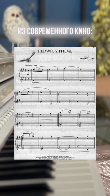 ЧТО МОЖНО УСПЕТЬ ВЫУЧИТЬ ДО НОВОГО ГОДА? читай описание #фортепиано #piano #гаррипоттер смотреть онлайн