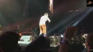 Ленинград - Алкаголик и придурок