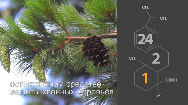 Progress online 2017 syksy Final RU смотреть онлайн