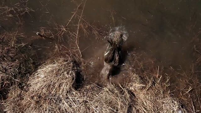 Анонс "Одержимые" канал "Охотник и рыболов" смотреть онлайн