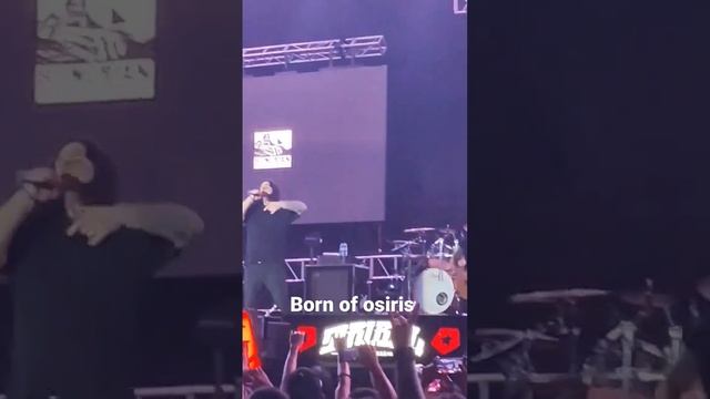 wacken born of osiris 2023 #wacken #wacken2023 #wackenopenair #ytshort #ytshorts #ytshortsvideo смотреть онлайн
