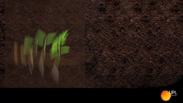 Влияние биопрепаратов на возделываемые культуры смотреть онлайн