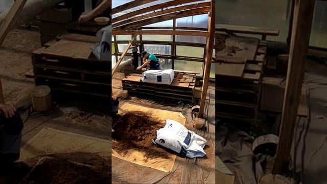 Посев семян на рассаду 🌱🍉