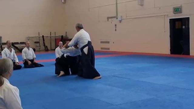 Айкикай Великобритании. Практика с гостями (инструктороми) Ю. Кобаяси и Т. Савадой (2015) - ч 2