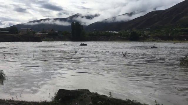 Самур смотреть онлайн