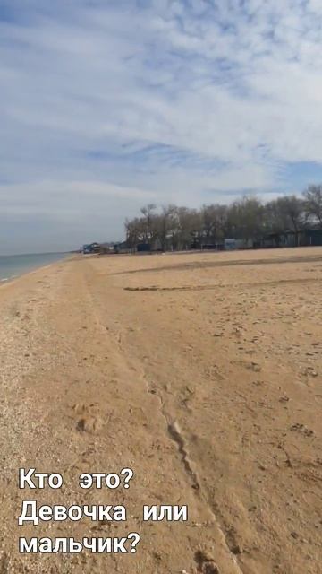 Находка на пляже// Азовское море, Голубицкая смотреть онлайн