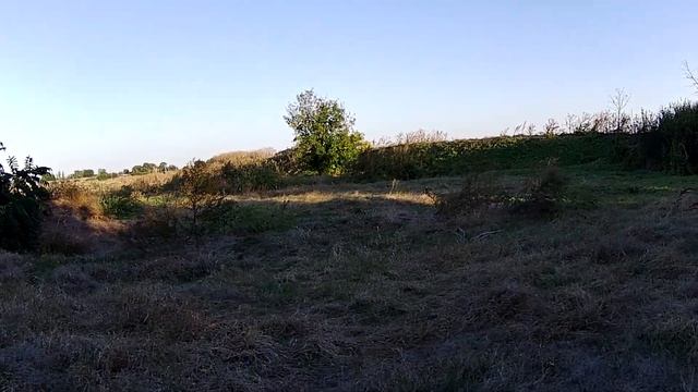 Такой охоты на куропатку ещё у меня не было смотреть онлайн