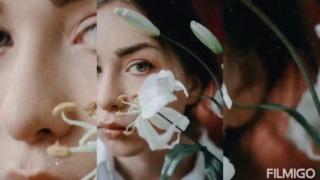 Age of Flowers смотреть онлайн