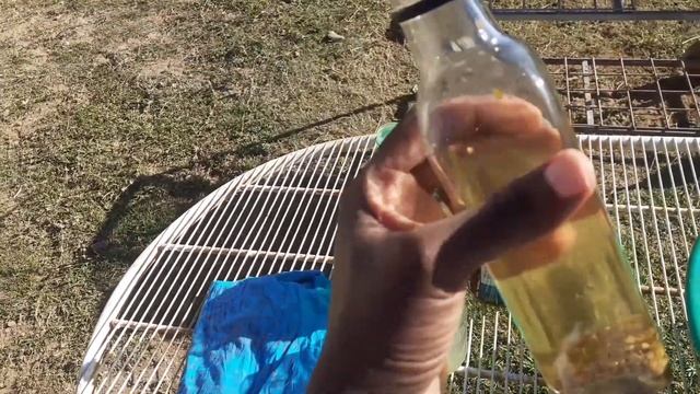 Wash day vlog in the village. Type 4 hair~ Not a tutorial смотреть онлайн