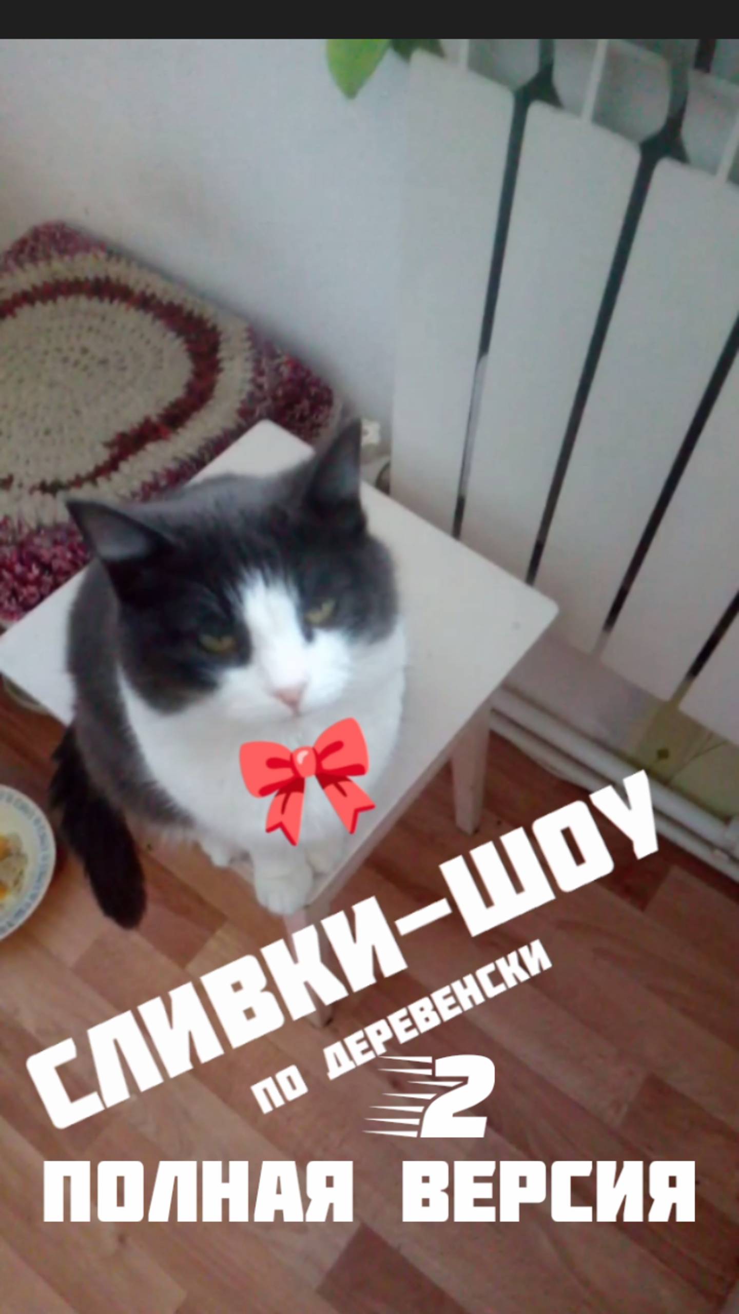 Деревня Кошка сливки Шоу эксперимент