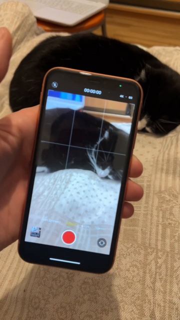 Какой iPhone взять в 2022 году смотреть онлайн