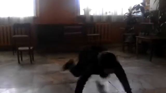 Брейк данс смотреть онлайн