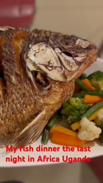 I’m Having A Huge Fried Fish 🐠 Dinner In Hotel Sojovalo In Africa Uganda #africa # Uganda #travel