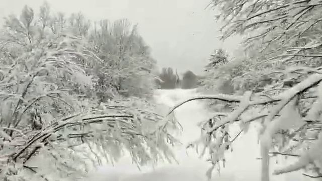 16 января 2023 г. смотреть онлайн