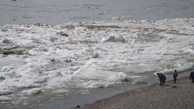 Амур очищается ото льда смотреть онлайн