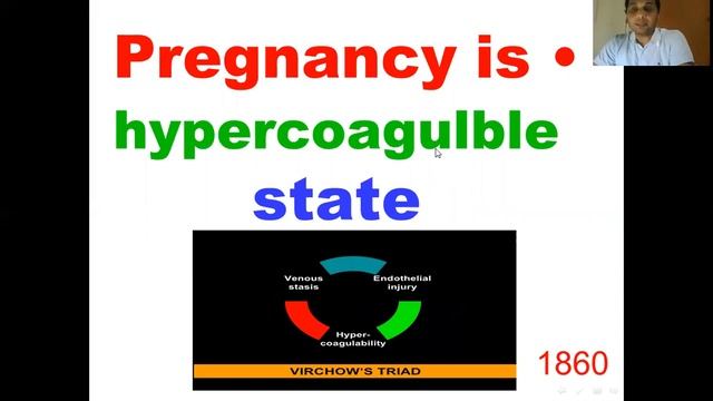 maternal adaptation during pregnanncy смотреть онлайн
