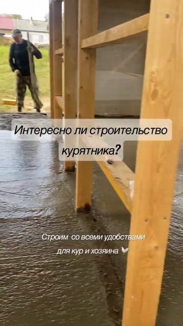 ОТ разметки ДО заселёния КУР 🐓 #курятниксвоимируками смотреть онлайн