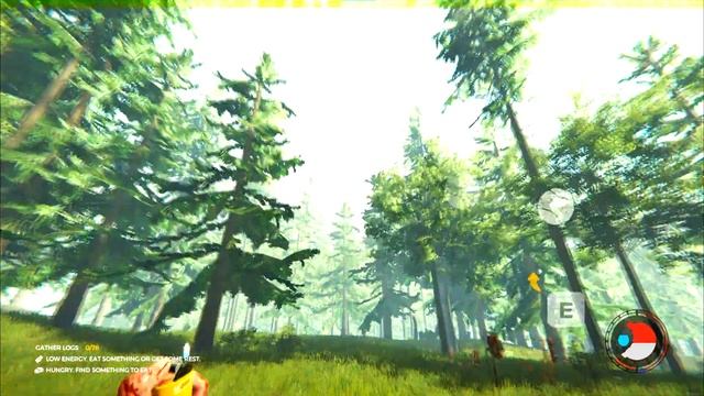 THE FOREST//ПРОХОЖДЕНИЕ//УБИЛИ В ПЕРВЫЙ ЖЕ ДЕНЬ смотреть онлайн
