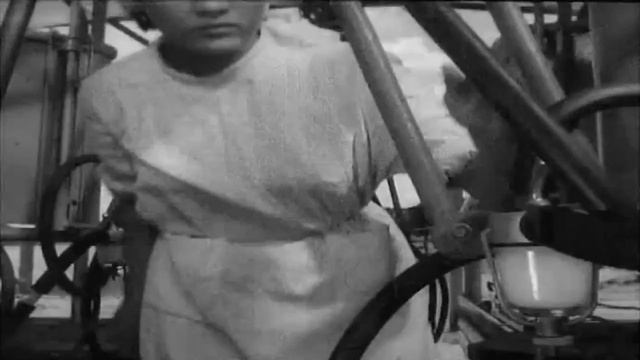 Ял илышем.клип.Шаб.Генри.