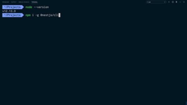 2 Installing the NestJS CLI commandline interface