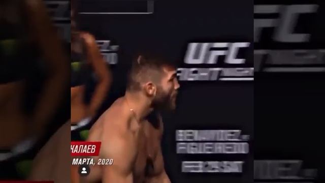 Лев не дергается когда псы лают смотреть онлайн