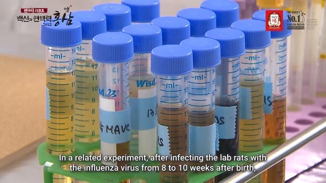 "Pandemic Report" - Vaccine, Immunity, and Korean Red Ginseng (ENG) смотреть онлайн