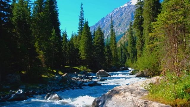 4K Рассвет на реке Мэдисон Природа Йеллоустонского национального парка смотреть онлайн