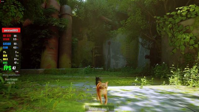 STRAY - G4560 RX 570 | Benchmark смотреть онлайн