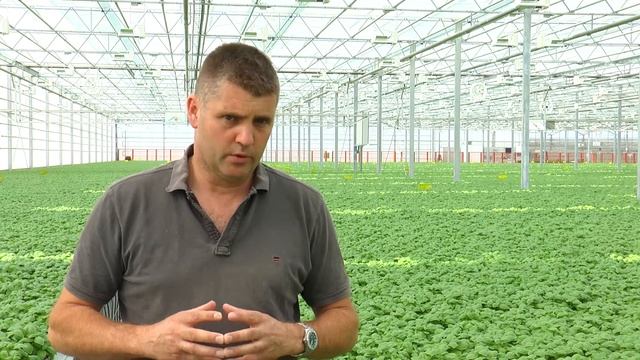Single Green Grow from Danish Greenhouse Supply (Pусский) смотреть онлайн