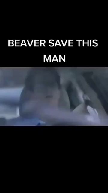 beaver save this man смотреть онлайн