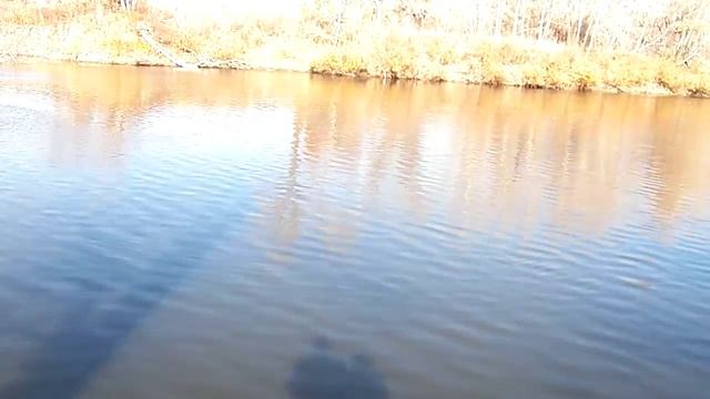 Отражение влюбленных в реке смотреть онлайн