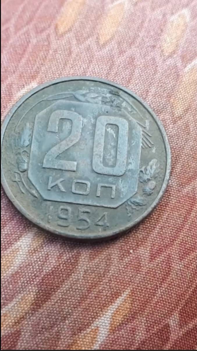 Лесной сохран монеты радует! #shorts смотреть онлайн