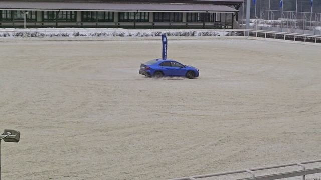 Субару фест в Максима Парк. февраль 2025 смотреть онлайн