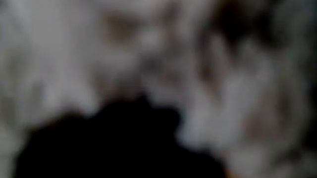 Лось мой и .