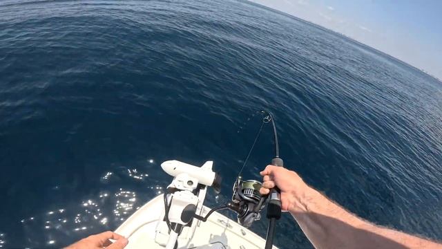 When Live Bait FAILS.. This Lure Got The BITE! (Blackfin Tuna Catch Clean Cook) смотреть онлайн