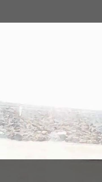 MOV 0000185 bérare смотреть онлайн