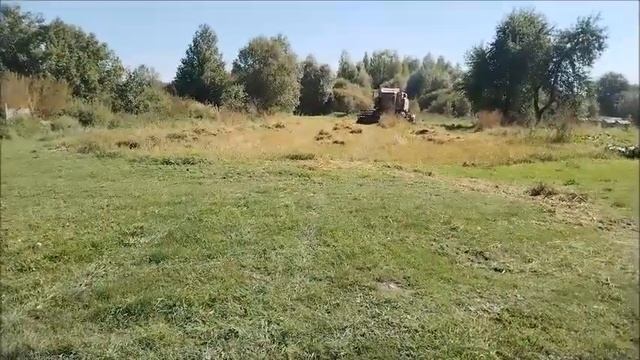 Уборочная зерновых 2023 смотреть онлайн