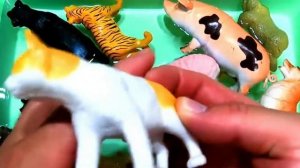 Learn Animal Names, Animal toys, Animals for kids, Sea Animals, Zoo, Farm, wild, aquatic Animals