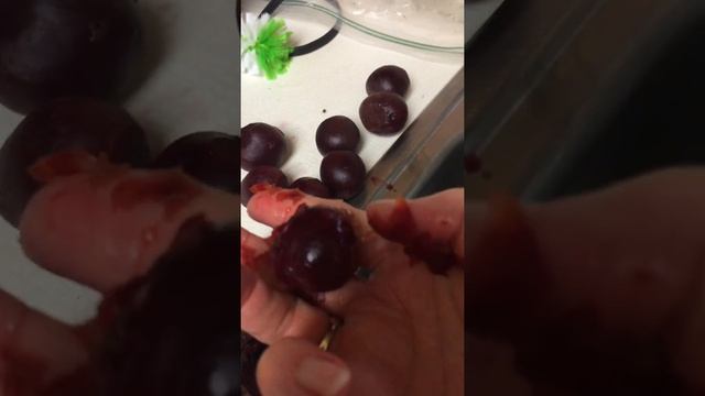 Easy peeled beets/ pickled eggs смотреть онлайн