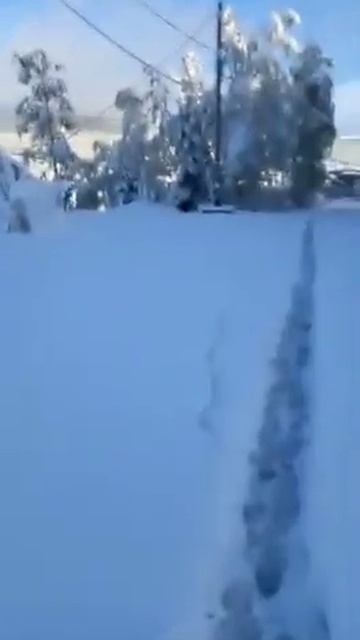 Красноярск. Снег в июне! Нонсенс смотреть онлайн